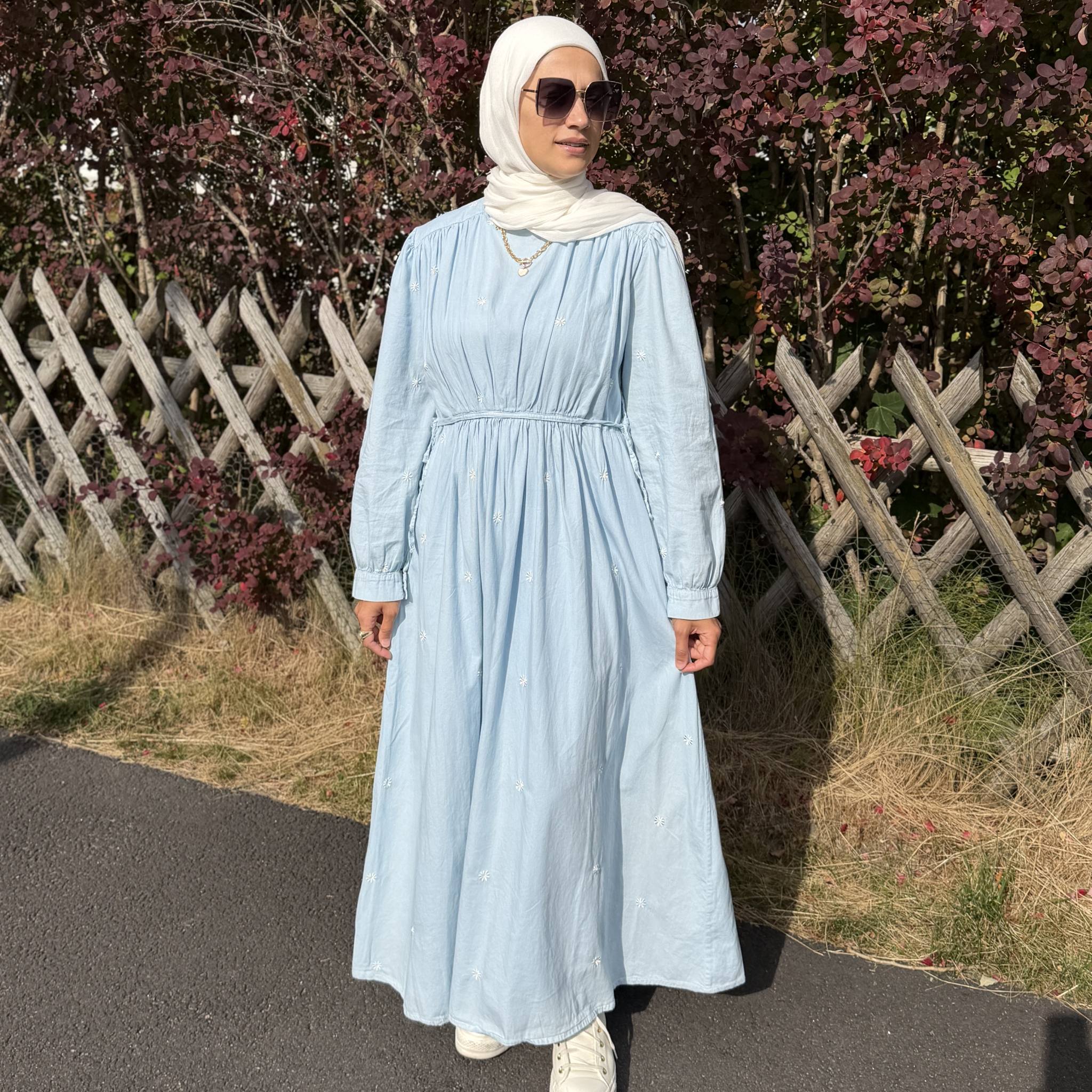 Powder Blue Embroidered Cotton Dress