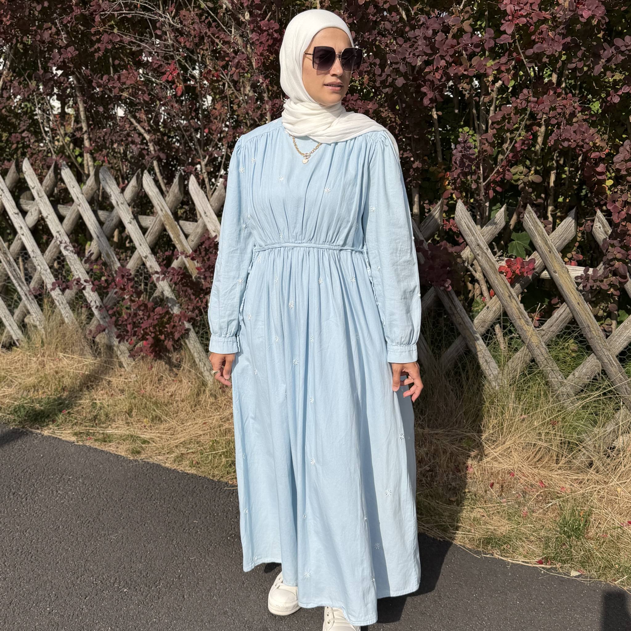 Powder Blue Embroidered Cotton Dress